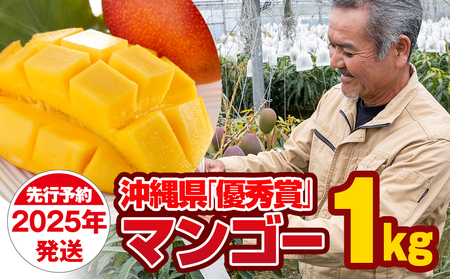 [2025年発送]芳醇な香り とろける食感 沖縄県「優秀賞」マンゴー1kg