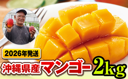 y2026NzZȊÂIƂ낯HIꌧY}S[2kg
