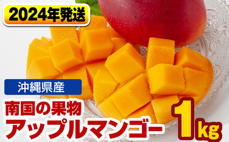 【2023年発送】南国の果物　沖縄県産アップルマンゴー1kg