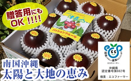 y2026Nz썑̉ʕ@pbVt[c@2kg@p