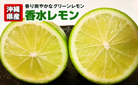 【2024年3月上旬～8月下旬発送】沖縄県産　香り爽やかなグリーンレモン　香水レモン　1.2kg
