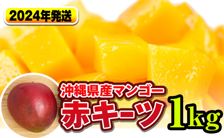 【2023年発送】南国の果物　沖縄県産マンゴー（赤キーツ）1kg