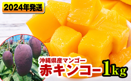 【2023年発送】南国の果物　沖縄県産マンゴー（赤キンコー）1kg