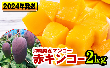 【2023年発送】南国の果物　沖縄県産マンゴー（赤キンコー）2kg