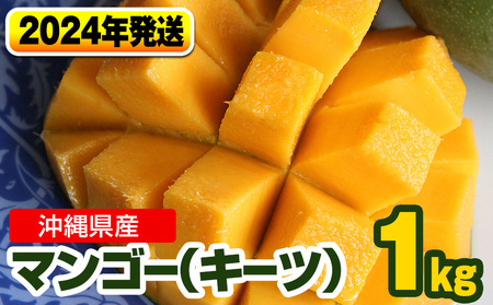 【2023年発送】南国の果物　沖縄県産マンゴー（キーツ）1kg