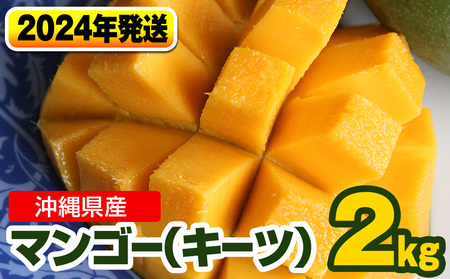 【2023年発送】南国の果物　沖縄県産マンゴー（キーツ）2kg