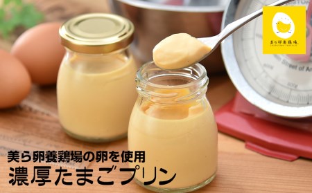 美ら卵養鶏場の卵を使用「濃厚たまごプリン」76g×8個入り