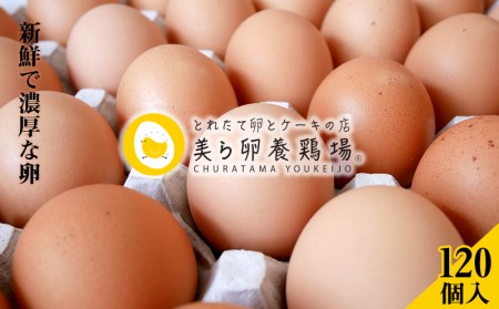 美ら卵養鶏場の新鮮で濃厚な卵＜120個入り＞