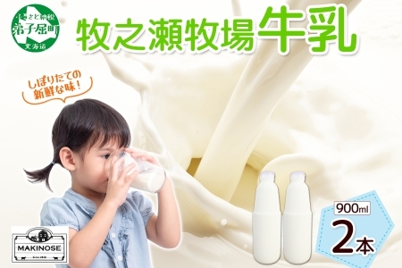 3455. 牧之瀬牧場 牛乳 900ml × 2本 牛乳 牛 乳 みるくミルク ノンホモジナイズド牛乳 ノンホモ 脂肪 放牧 濃厚 搾りたて 甘い クリーミー クリーム まろやか さっぱり 冷蔵 北海道 弟子屈町