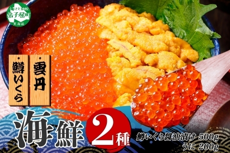 3009. 2種 海鮮丼 鱒 いくら醤油漬け 100g×5 約5-6人前 ウニ チリ産 雲丹 うに 100g×2 セット いくら イクラ いくら醤油 魚卵 ます マス 海鮮 送料無料 北海道 弟子屈町