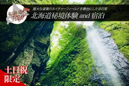 ykCcA[z281. kCAhx`[鋫̌ × hZbgvi120,000~jq h s s`Pbgy12×2zyI[V[Yzyyjvz