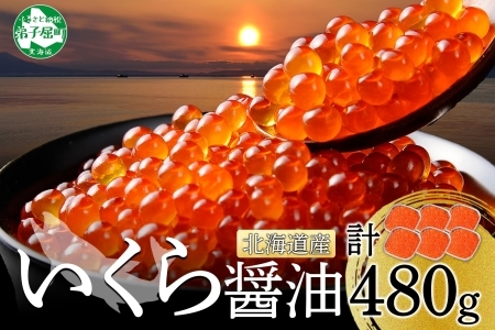 145.【年内配送】 いくら醤油漬け 80g×6個 北海道 いくら イクラ 魚卵 魚介 海鮮