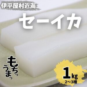 ƐH Z[CJ 1kg(2`3)yzsnFzy1544697z