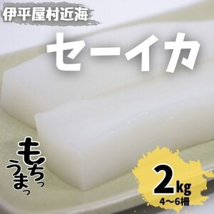 ƐH Z[CJ 2kg(4`6)yzsnFzy1544699z