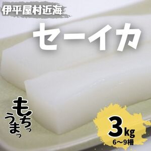 ƐH Z[CJ 3kg(6`9)yzsnFzy1544700z