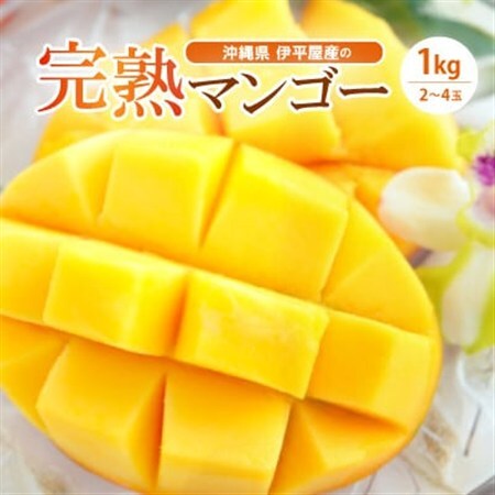 伊平屋産の完熟マンゴー約1kg[配送不可地域:離島]