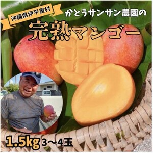 y2026N7žb݁@n}S[1.5kgyzsnFzy1497087z