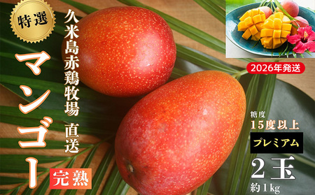 y2026NzvēԌ{q Ix15xȏuv~Avn}S[ 2ʁi1kgj }S[ n Abv}S[ A[EB x15x Ii v~A  蕨 Â Z