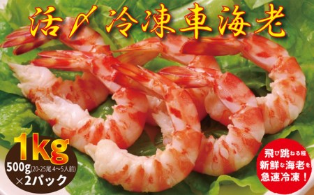 【南西興産】久米島の生産者から直送！活〆冷凍有頭車海老1kg：500g(20-25尾 4～5人前)×2パック
