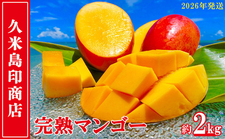 y2026Nzvē󏤓X n}S[ 2kg }S[ t[c ʕ fU[g n Â Z X[W[ ACX v [Og P[L 蕨  Mtg lC s[^[ 썑 