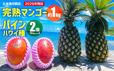y2026Nzvē󏤓X n}S[1kg&mpC2i1.5kgȏ×2j }S[ pCibv Zbg Â _ oX lC 蕨 Mtg t[c ʕ fU[g X[W[ W[