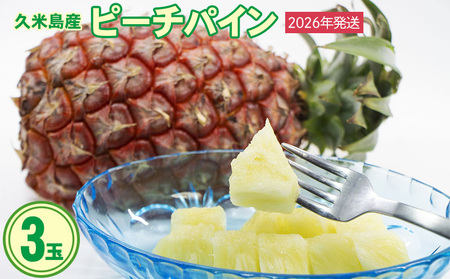 y2026Nz䉮_ s[`pC 3ʁiv2kgj pCibv pC   s[` ʓ Î_ς W[V[ Fȍ XibNo t[c ʕ W[X X[W[ [