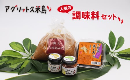 [アグリット久米島]人気の調味料セット 味噌 みそ ラー油 コショウ 胡椒 にんにく シークヮーサー 4種 手づくり 米麹 自然熟成 昔ながら 塩分控えめ 米味噌 受賞 ピパーツ 辛味 ペースト ブレンド アレンジ