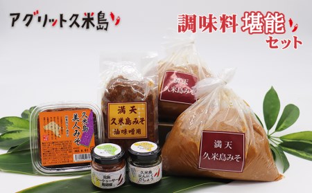 [アグリット久米島]調味料堪能セット みそ 味噌 油味噌 あんだみすー 味噌汁 にんにく ガーリック ラー油 ブレンド シークヮーサー 手づくり 米麹 自然熟成 胡椒 コショウ 受賞 辛味 セット ペースト アレンジ