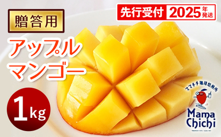 [贈答用][先行受付・2025発送]ママチチマンゴーファームの贈答用アップルマンゴー約1kg