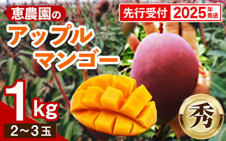 [先行受付] [2025年発送]恵農園のアップルマンゴー『秀』約1kg(2〜3玉)