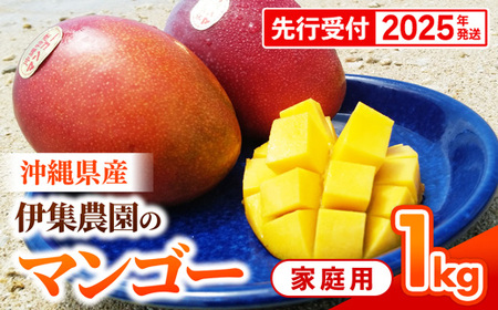 [先行受付][2025年発送]伊集農園 沖縄県産マンゴー ご家庭用 約1kg