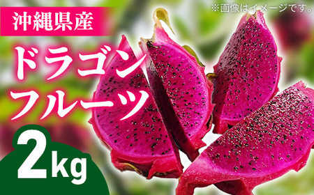 【2025年発送】熱帯果樹生産組合の完熟ドラゴンフルーツ 【レッドドラゴンフルーツ】　約2kg（3～7玉）- 赤 果肉 レッド ピタヤ スーパーフルーツ 人気 抗酸化作用 ベタシアニン おすすめ 国産 沖縄県 八重瀬町