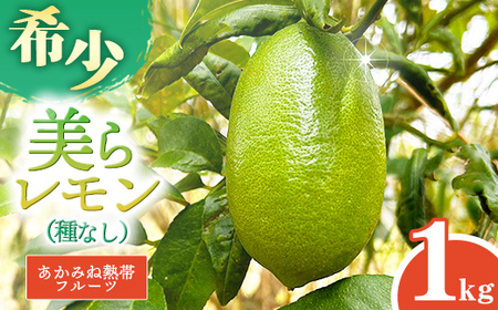 [種なし]あかみね熱帯フルーツの美らレモン 約1kg
