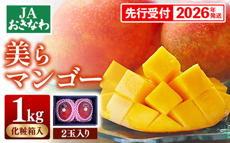 yϔzystE2026Nz}S[1kgy2ʁz- s\ JAȂ Yn 썑t[c 蕨 Mtg IXX ꌧ d