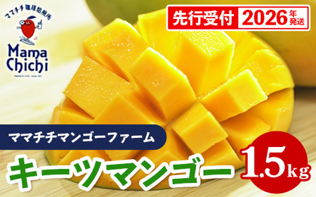ystzy2026Nz}}``}S[t@[̃L[c}S[1.5kg - s\  Yn 썑t[c {̖o ꌧY Y}S[ 󏭎 G߂̉ʕ ꌧ d