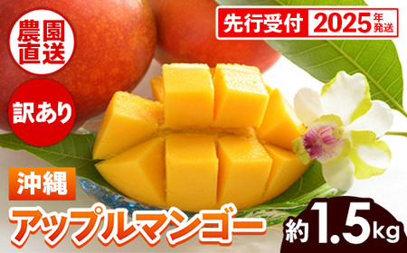 [先行受付][2025年発送]ヤマト農園 アップルマンゴー訳あり約1.5kg(3〜6玉)- 先行予約 沖縄県産 産地直送 南国フルーツ 旬の味覚 季節の果物 ご自宅用 訳アリ 沖縄マンゴー 沖縄県 八重瀬町[価格改定]