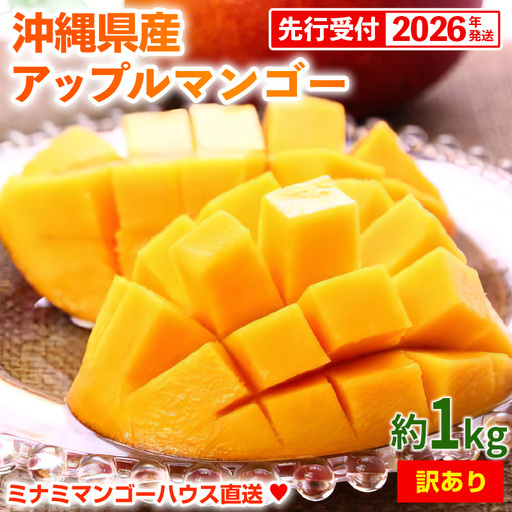 [先行受付][2026年発送]ミナミマンゴーハウスの訳ありアップルマンゴー 約1kg - 訳あり 先行予約 沖縄県産 産地直送