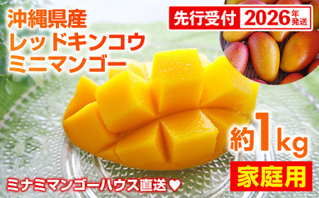 ystzy2026Nz~i~}S[nEX̐ԋ(bhLREj~j}S[1kg yƒpz- s\ ꌧY Yn 썑t[c {̖o 󏭎 󏭍͔| p