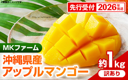 ystzy2026NzMKt@[̖󂠂Abv}S[1kgy󂠂z- A s\ ƒp p ꌧY Yn 썑t[c {̖o Abv}S[ IXX 