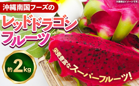 [2025年発送]南国フーズのドラゴンフルーツ [レッドドラゴンフルーツ] 約2kg - 赤 果肉 レッド ピタヤ スーパーフルーツ 人気 抗酸化作用 ベタシアニン おすすめ 国産 沖縄県 八重瀬町