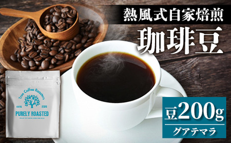 [完全受注焙煎]Tree Coffee Roasters「グアテマラ エスエイチビー カフェピューマ ハイロースト」 200g - コーヒー 豆 自家焙煎 熱風式焙煎 贈り物