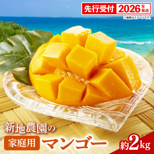 【先行受付】【2026年発送】新地農園 アップルマンゴー 家庭用 約2kg - ご自宅用 先行予約 沖縄県産 産地直送 南国フルーツ 旬の味覚 オススメ 沖縄県 八重瀬町