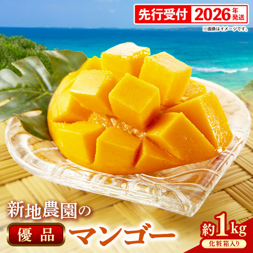 【化粧箱入り】【先行受付・2026年発送】新地農園 アップルマンゴー 優品 約1kg （2～3玉）- 産地直送 先行予約 沖縄県産 贈り物 ギフト 南国フルーツ 旬の味覚 オススメ 沖縄県 八重瀬町
