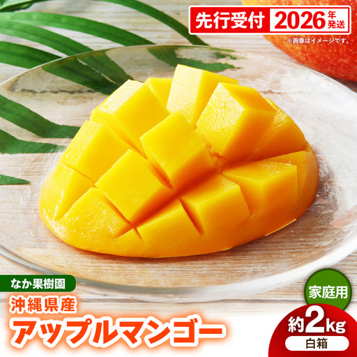 【先行受付】【2026年発送】なか果樹園 アップルマンゴー 家庭用 約2kg （白箱）- 産地直送 先行予約 沖縄県産 ご自宅用 南国フルーツ 旬の味覚 オススメ 沖縄県 八重瀬町
