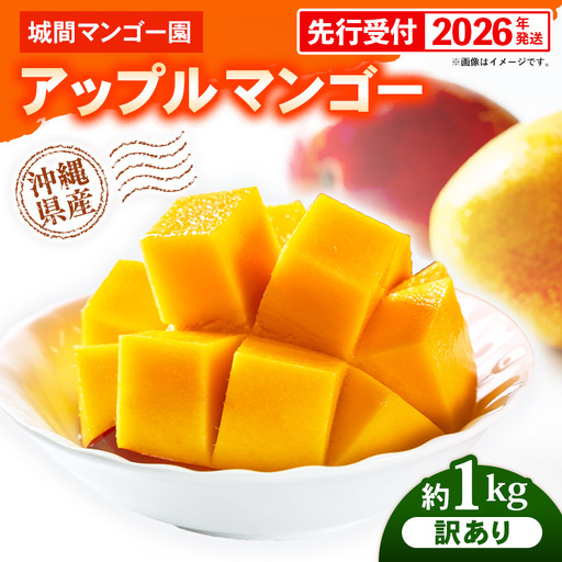 [先行受付][2026年発送]城間マンゴー園のアップルマンゴー 訳あり 約1kg - 先行予約 沖縄県産 産地直送 南国フルーツ 旬の味覚 季節の果物 ご自宅用 訳アリ 家庭用 沖縄マンゴー 沖縄県 八重瀬町