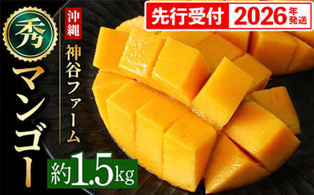 yϔzystE2026Nz_Jt@[̃}S[iGj1.5Kg - s\ ꌧY Yn 썑t[c {̖o G߂̉ʕ 蕨 Mtg ꌧ d