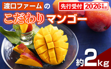 yϔzystE2026Nznt@[ }S[ 2kg - s\ ꌧY Yn 썑t[c {̖o G߂̉ʕ 蕨 Mtg ꌧ d