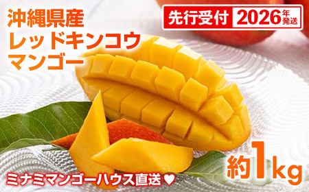ystzy2026Nz~i~}S[nEX̐ԋ(bhLREj}S[1kg - s\ ꌧY Yn 썑t[c {̖o 󏭎 󏭍͔| IXX ꌧ d