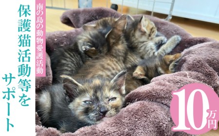 【南の島の動物愛護活動】保護猫活動等をサポート（10万円）