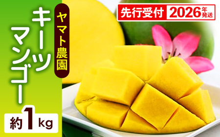 ystzy2026Nz}g_ L[c}S[1kg - Yn Y Y ʕ t[c 썑t[c {̖o Ǐn s\ ̖ lC   ꌧ d